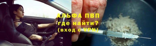 сатива Абаза